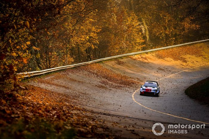 Thierry Neuville, Martijn Wydaeghe, Hyundai Motorsport Hyundai i20 Coupe WRC