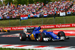 Felipe Nasr, Sauber C35
