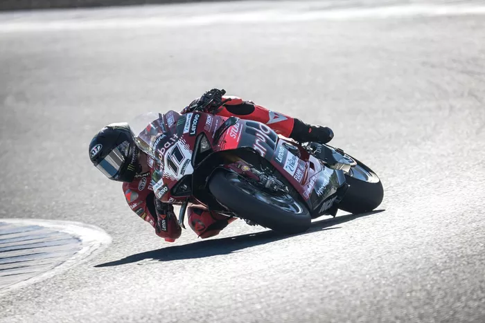 Nicolò Bulega