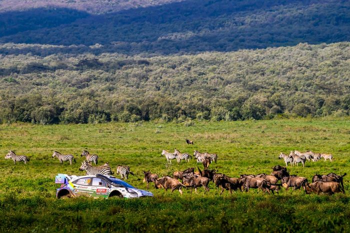 Jon Armstrong, Shane Byrne, M-Sport Ford World Rally Team Ford Puma Rally1