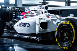 Design von Felipe Massa, Williams FW38, Detail