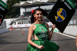 Grid girl