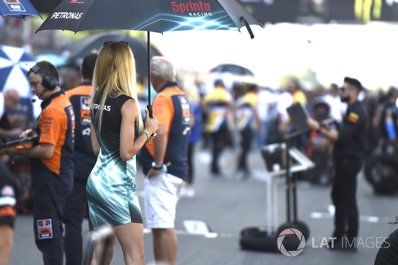 Grid girl