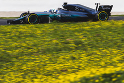 Valtteri Bottas, Mercedes F1 W08