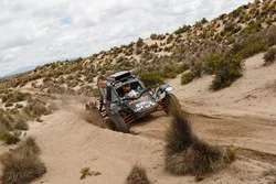 #347 Suzuki: Tim Coronel