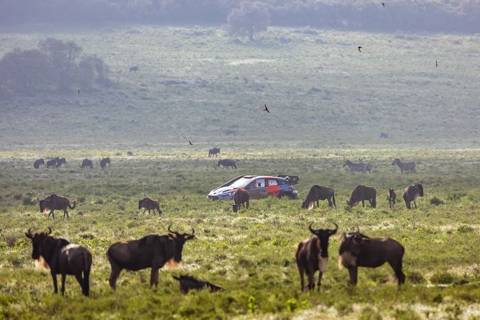 Тьерри Невиль, Мартейн Видаге, Hyundai World Rally Team Hyundai i20 N Rally1