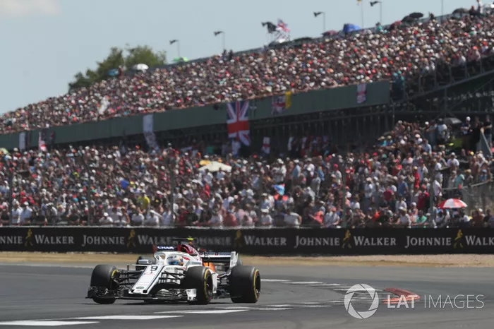 Marcus Ericsson, Sauber C37