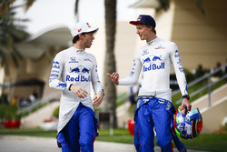 Pierre Gasly, Toro Rosso, discute avec Brendon Hartley, Toro Rosso