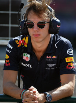 Pierre Gasly, Red Bull Racing Test Driver