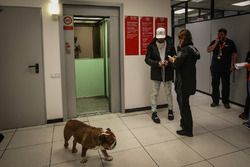 Lewis Hamilton, Mercedes AMG F1y su perro Roscoe