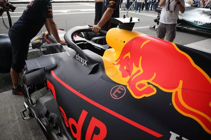 Lateral del Red Bull Racing RB15