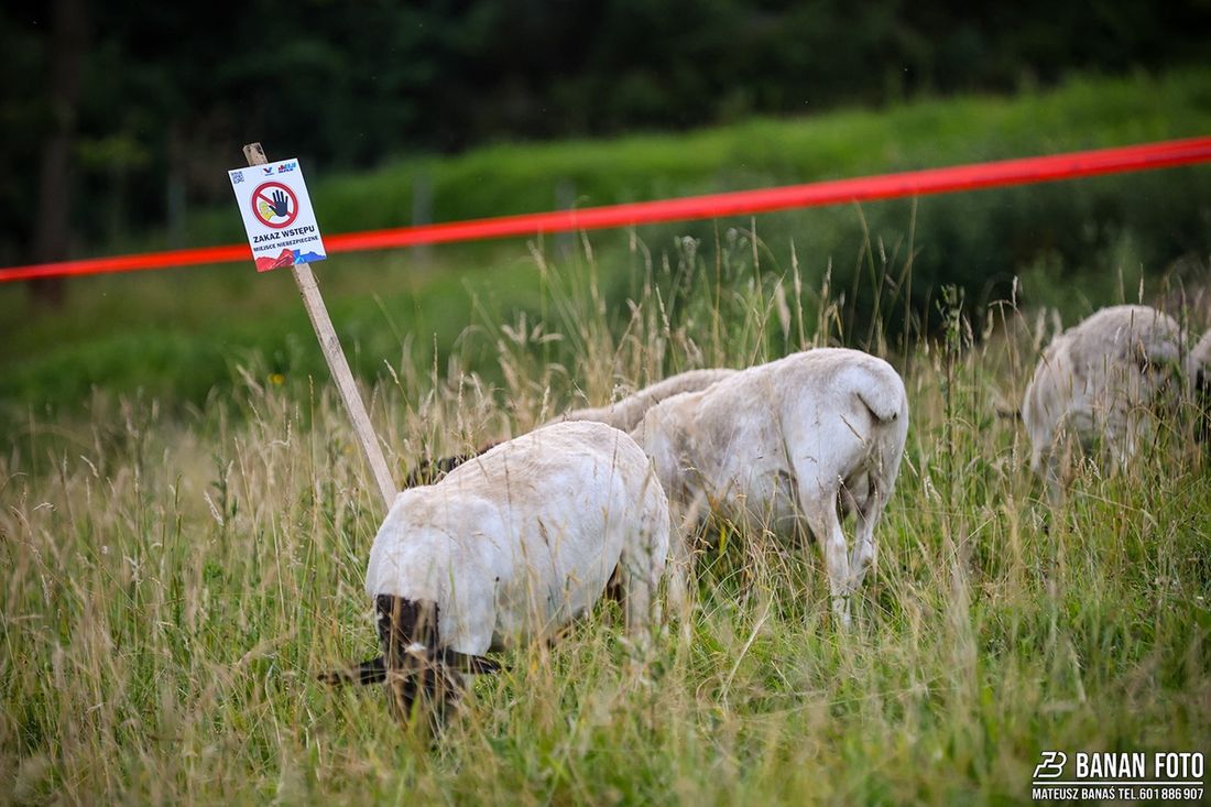 Valvoline Rajd Małopolski 2025
