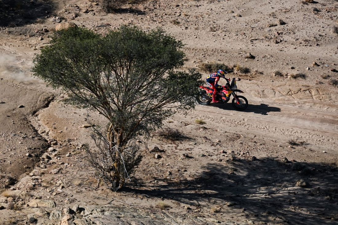 #47 Red Bull KTM Factory Racing KTM: Kevin Benavides