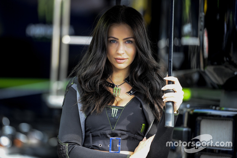 Grid girls Monster Energy