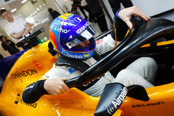Fernando Alonso, McLaren