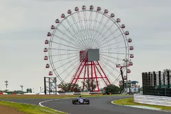 Pascal Wehrlein, Sauber C36