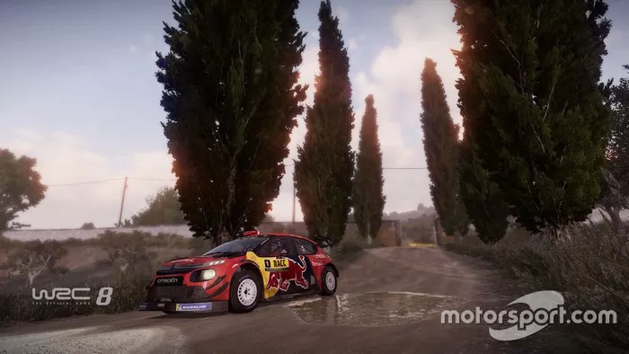 Imagen del WRC 8