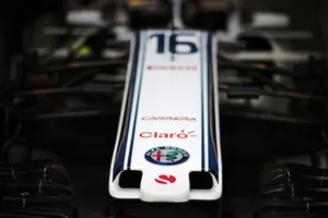Sauber nose