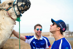 Robin Frijns, Amlin Andretti Formula E Team et Antonio Felix da Costa, Amlin Andretti Formula E Team