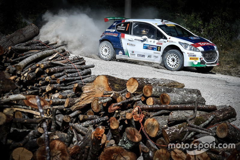 Paolo Andreucci, Anna Andreussi, Peugeot 208 T16, Peugeot Sport Italia