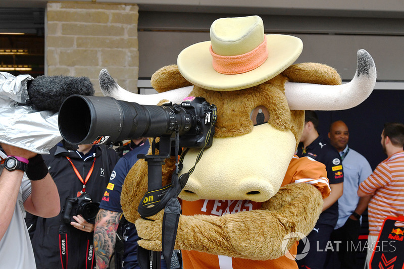 Mascota de los Cuernos Largos de Texas
