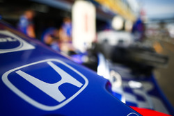 Toro Rosso burnunda Honda logosu