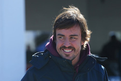 Fernando Alonso, United Autosports