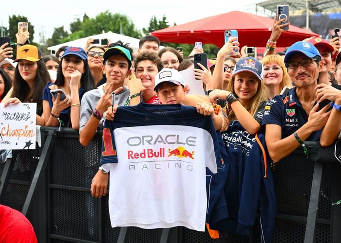 Max Verstappen, Red Bull Racing