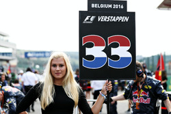 Pitspoes van Max Verstappen, Red Bull Racing