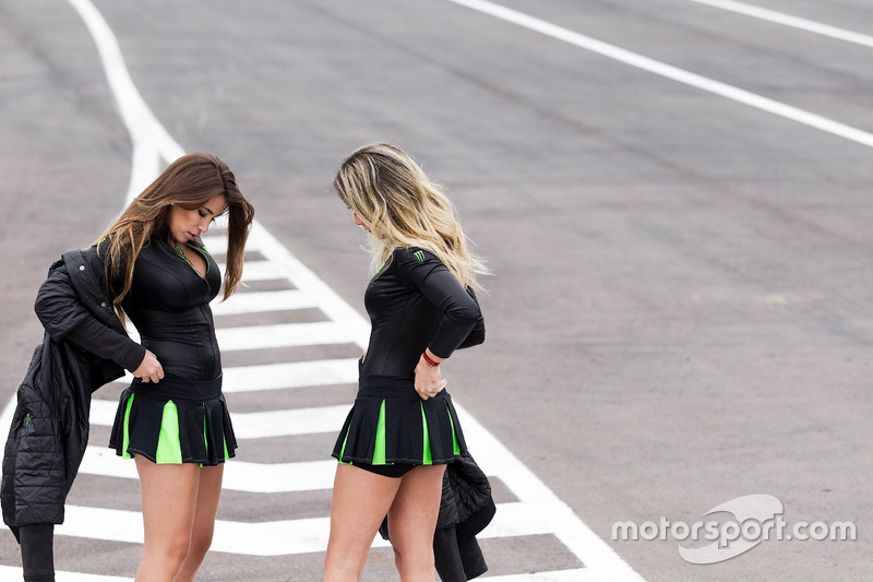 Grid girls