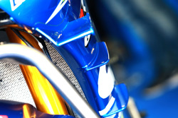 Suzuki winglets