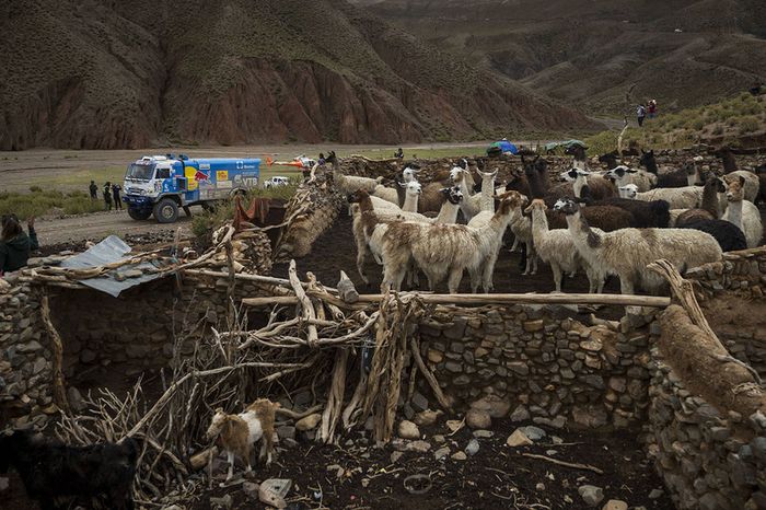#513 Team Kamaz Master: Dmitry Sotnikov, Ruslan Akhmadeev, Igor Leonov