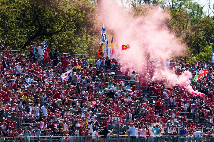 Fans en las tribunas