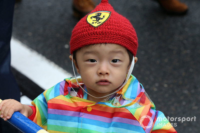 Ferrari fan