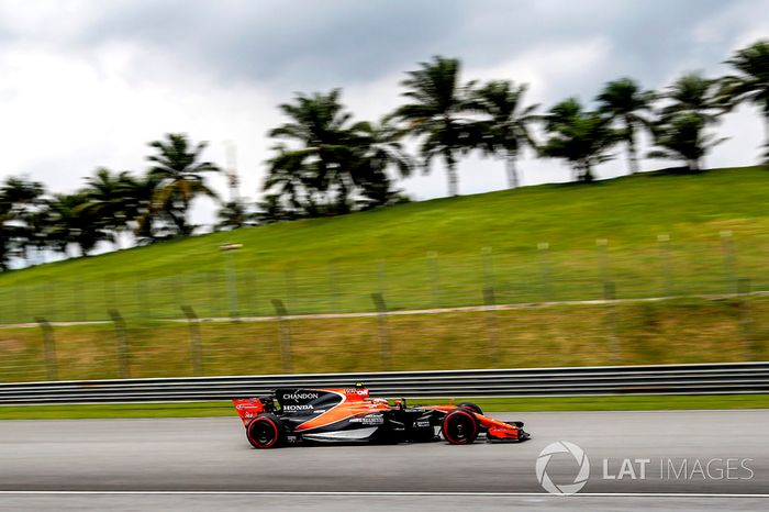 Stoffel Vandoorne, McLaren MCL32