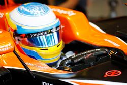 Fernando Alonso, McLaren