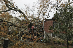 The Brady home in Atlanta, Georgia, after a tree fell on it while they were watching the Australian GP