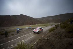 #307 Peugeot Sport: Cyril Despres, David Castera