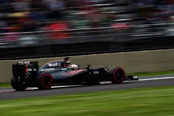 Fernando Alonso, McLaren MP4-31