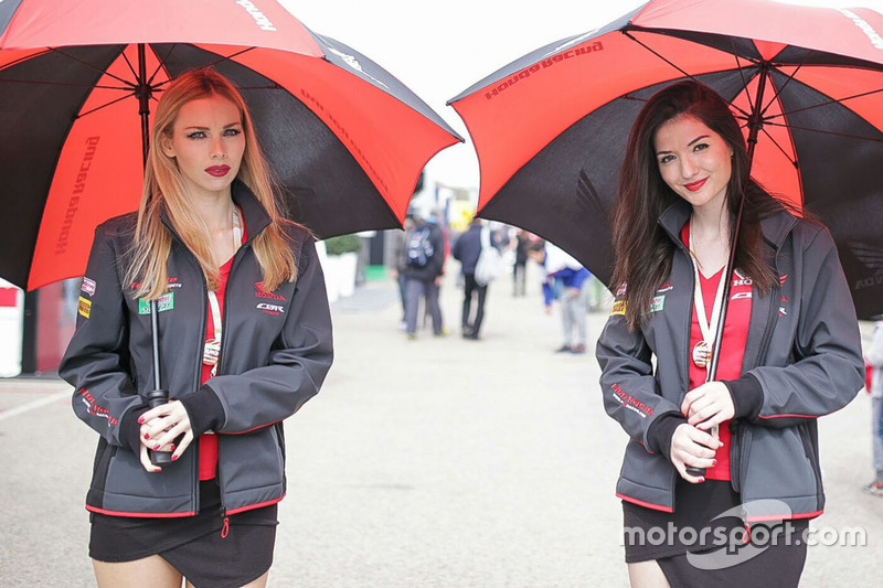 Lovely grid girls