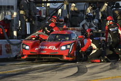 #31 Action Express Racing Cadillac DPi: Eric Curran, Dane Cameron, Mike Conway