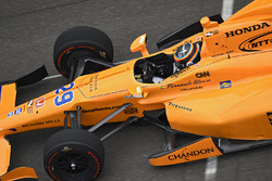 Фернандо Алонсо, Andretti Autosport Honda