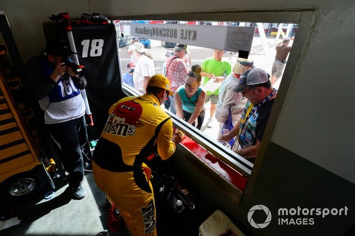 Kyle Busch, Joe Gibbs Racing, Toyota Camry M&M's Chocolate Bar