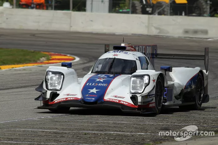 #81 DragonSpeed USA ORECA LMP2 07, LMP2: Ben Hanley, Henrik Hedman