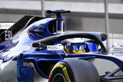 Маркус Ерікссон, Sauber C36