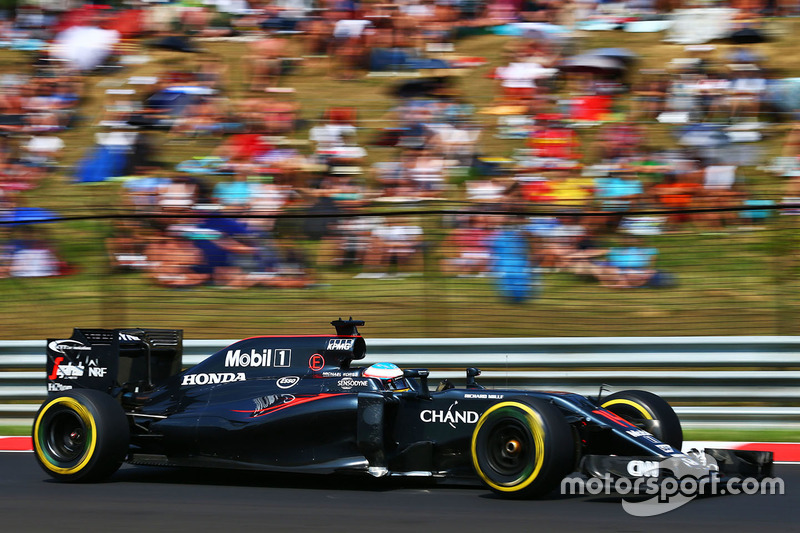 Fernando Alonso, McLaren MP4-31