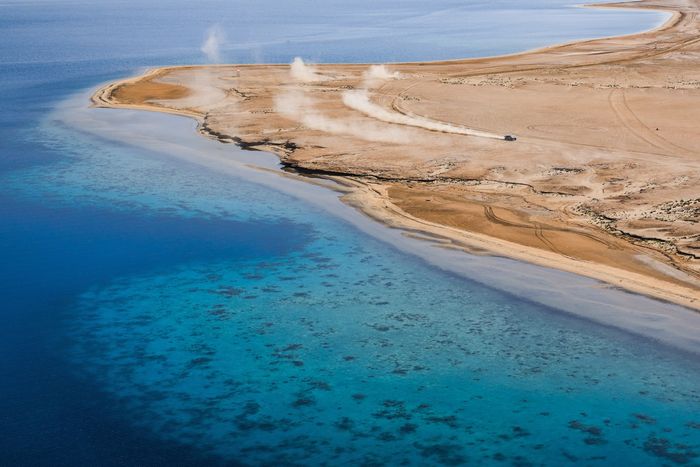 #228 Ford M-Sport Ford: Mitch Guthrie, Kellon Walch