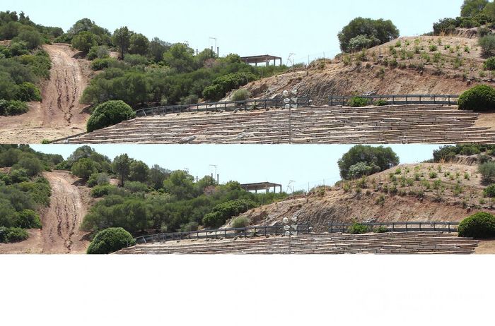 Fabio Quartararo, Petronas Yamaha SRT