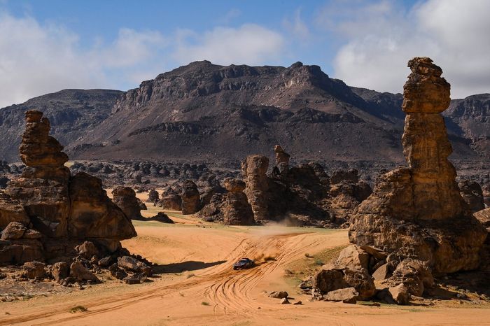 #207 Team Audi Sport Audi: Carlos Sainz, Lucas Cruz