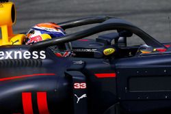 Max Verstappen, Red Bull Racing, avec le Halo